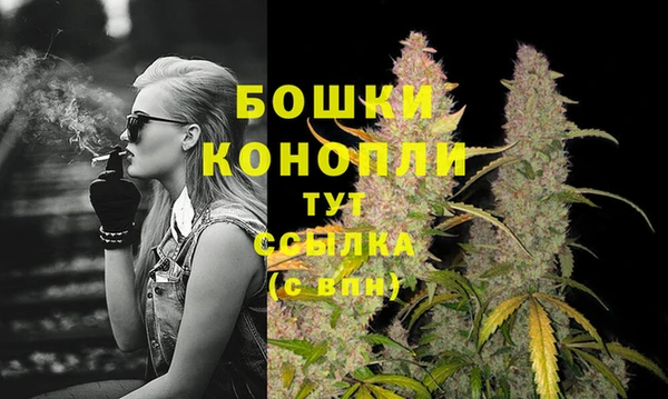 герыч Каменногорск