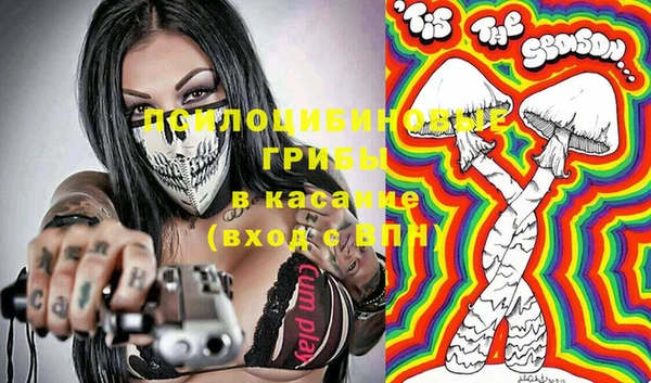 хмурый Абинск